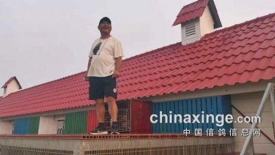 ​“老顽童”放弃五常稻米老板来干职业赛鸽教练