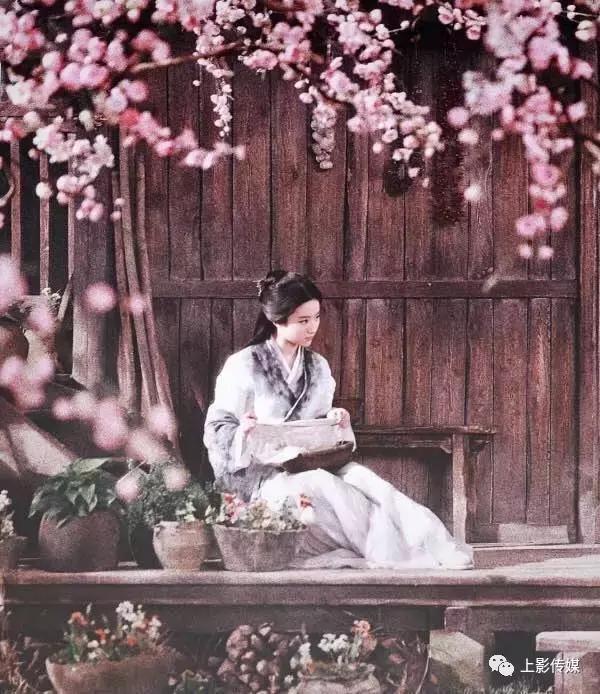 刘亦菲气质温婉仙气十足（刘亦菲古典仙气美人）(16)