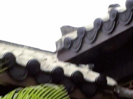 演过展昭的有9人，都是男神级别，第2位的颜值，比何家劲还高