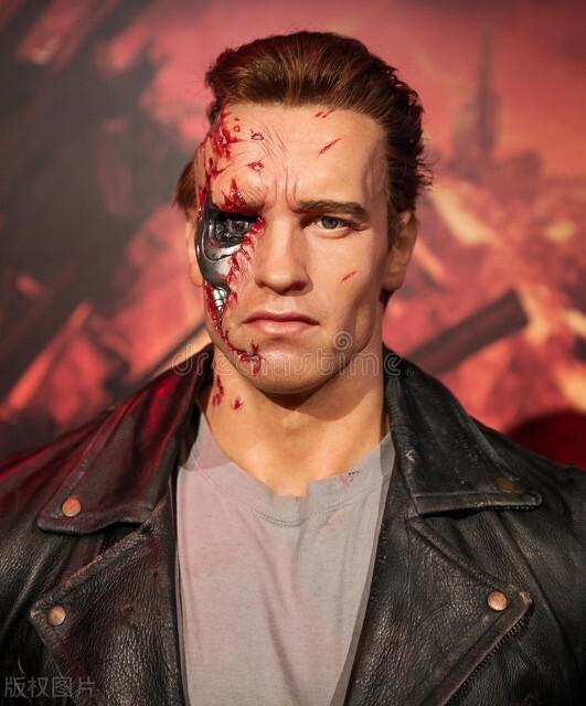 阿诺施瓦辛格家庭成员（好莱坞动作巨星阿诺.斯瓦辛格和妻子十年离婚案最终宣告离婚）(10)