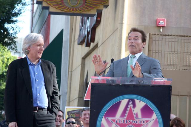 阿诺施瓦辛格家庭成员（好莱坞动作巨星阿诺.斯瓦辛格和妻子十年离婚案最终宣告离婚）(7)