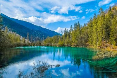 ​九寨沟有什么旅游景点（九寨沟旅游景点排名榜）