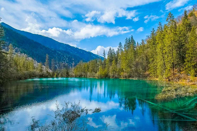 九寨沟有什么旅游景点（九寨沟旅游景点排名榜）