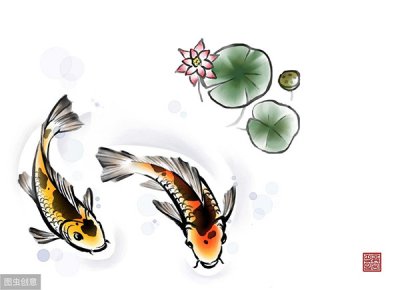 ​龙凤锦鲤养几条最吉利（养龙凤锦鲤有讲究么）