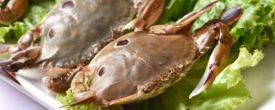 ​梭子蟹水煮多长时间