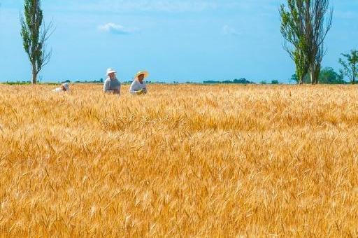 十个最便宜的出境游目的地