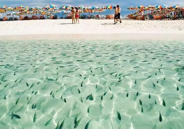 泰国普吉岛哪个岛比较好玩（泰国普吉岛旅游实用攻略）(15)