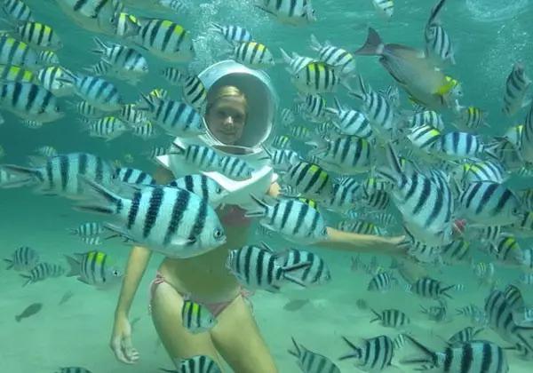 泰国普吉岛哪个岛比较好玩（泰国普吉岛旅游实用攻略）(6)