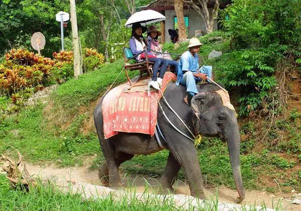泰国普吉岛哪个岛比较好玩（泰国普吉岛旅游实用攻略）(32)