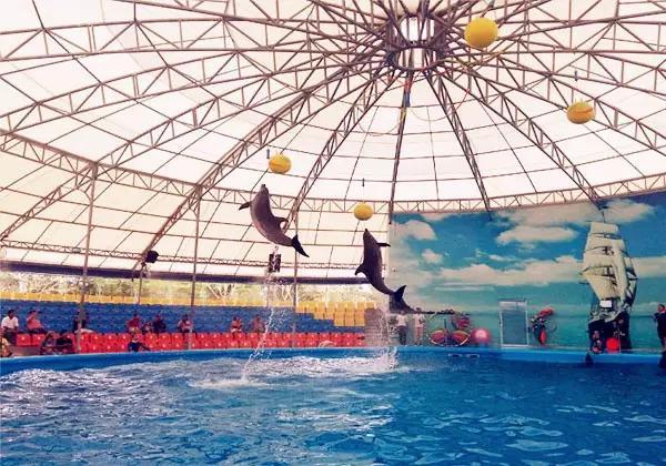 泰国普吉岛哪个岛比较好玩（泰国普吉岛旅游实用攻略）(27)