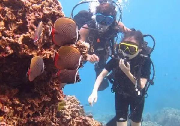 泰国普吉岛哪个岛比较好玩（泰国普吉岛旅游实用攻略）(30)