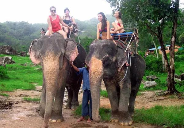 泰国普吉岛哪个岛比较好玩（泰国普吉岛旅游实用攻略）(33)