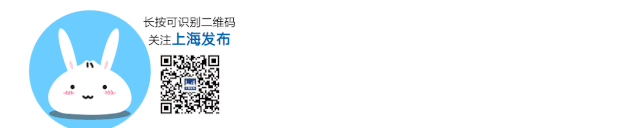 苏州旅游游记（乐游苏州河畔的）(1)