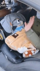 ​武汉900万人的封城日记：这一个月，无数的眼泪和希望