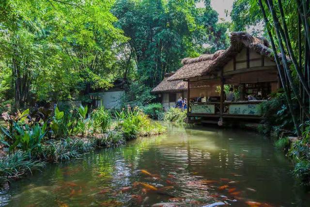 成都三日游最佳攻略（成都十大景点）(15)