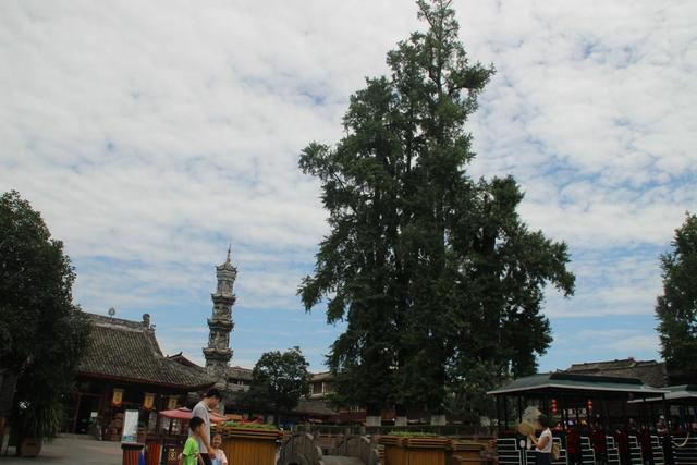 成都三日游最佳攻略（成都十大景点）(36)