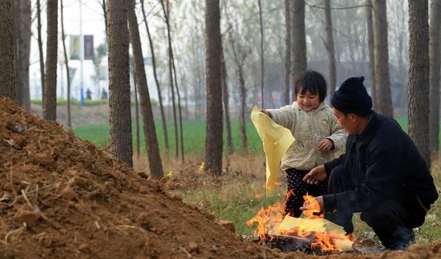 坟地栽什么树人财两旺（坟前三树家富人兴旺指的哪三种树）