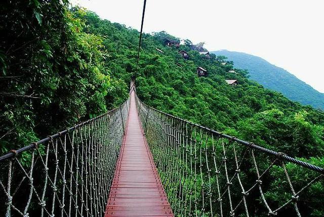海南三亚必去的10大景点（海南三亚必去的10大景点）(10)