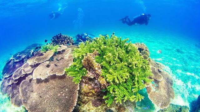海南三亚必去的10大景点（海南三亚必去的10大景点）(8)