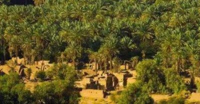 ​全球十大最美沙漠绿洲（莫扎比绿洲榜上第三）