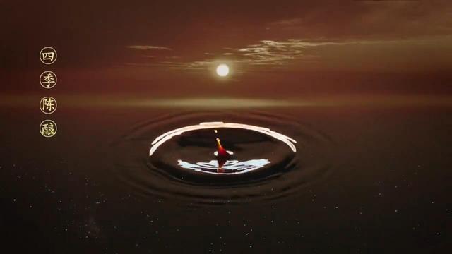 山西老陈醋哪个地方的最正宗（山西特产之老陈醋）(5)