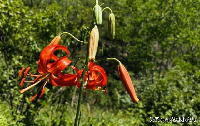 北京五一郊游的好去处（北京周末郊游好去处）(12)