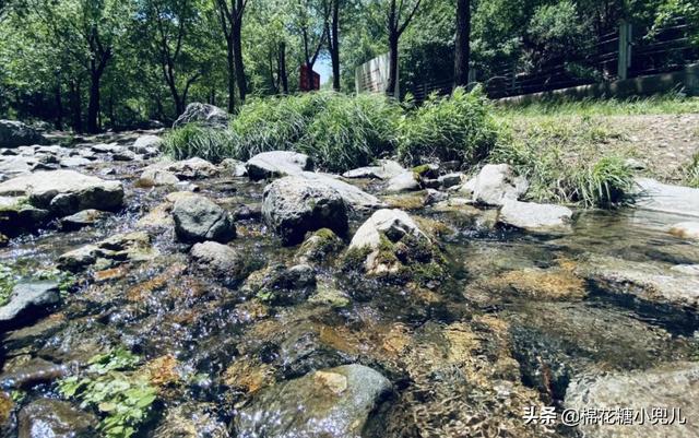 北京五一郊游的好去处（北京周末郊游好去处）(13)