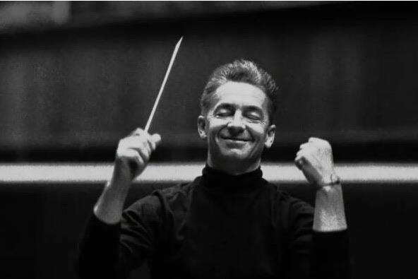 十大十大奥地利音乐名人（奥地利音乐家排名前十）  3