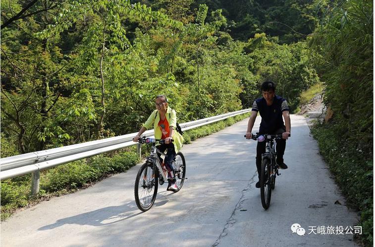 5、天峨县大平岭国家森林公园景区