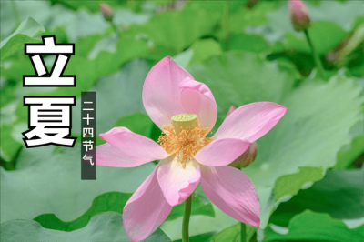 ​立夏吃什么(夏至节气的特点和风俗)