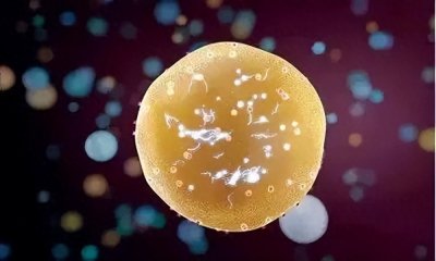 ​什么是外泌体，它有什么用？