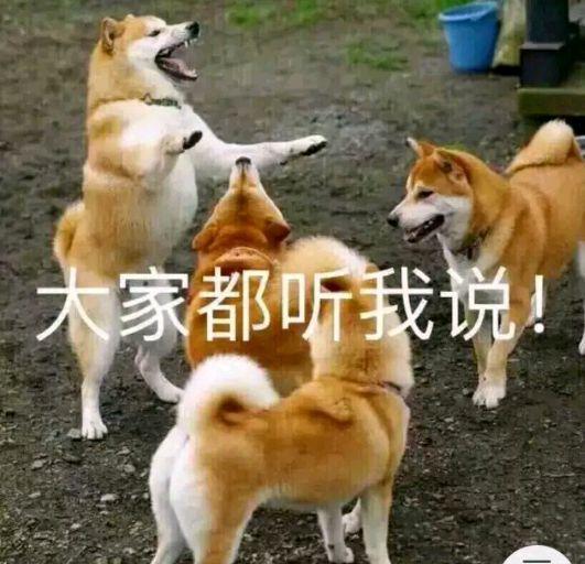 搞笑图片：喝了这杯酒 关于爱情 我只字不提