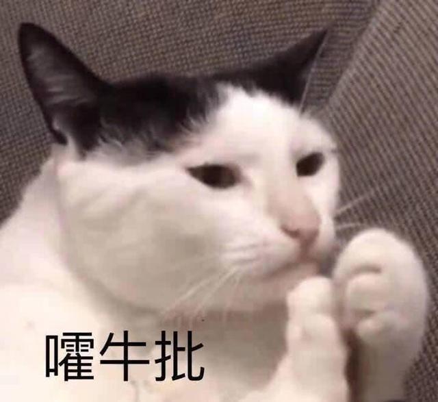 搞笑图片：喝了这杯酒 关于爱情 我只字不提