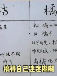 ​桔子和橘子一样吗(橘子和桔子有什么不一样)