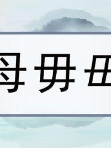 ​母是什么意思(米其林轮胎上的数字和字母是什么意思)
