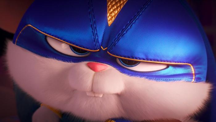 爱宠大机密：当兔子骑上蝙蝠车，变身蝙蝠侠，它就是这条街的靓仔