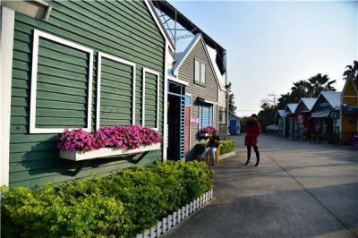 ​广州花都有一个普罗旺斯，名字叫香草世界｜香草薰衣草