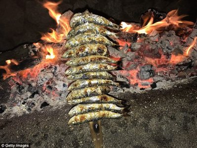 ​石器时代北欧居民的主要食物是鱼类