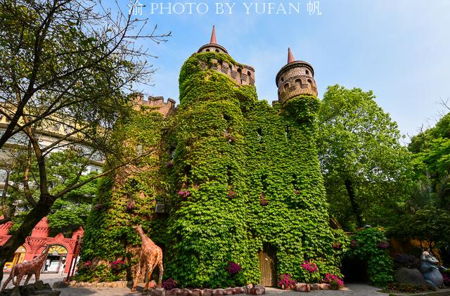 重庆洪崖洞旅游攻略大全（重庆这八个地方让你忘掉洪崖洞和穿楼轻轨）(33)