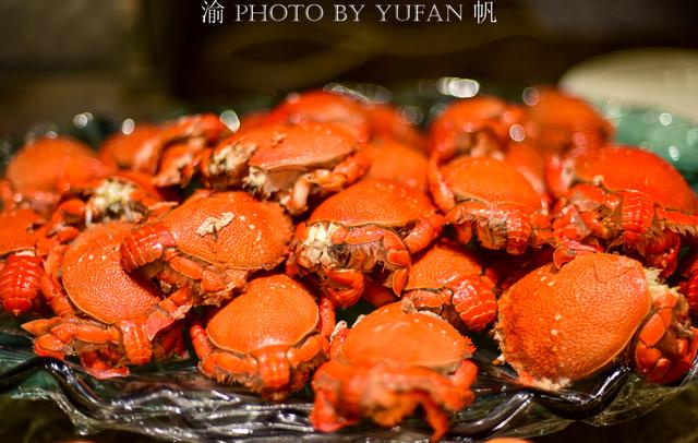 重庆洪崖洞旅游攻略大全（重庆这八个地方让你忘掉洪崖洞和穿楼轻轨）(48)