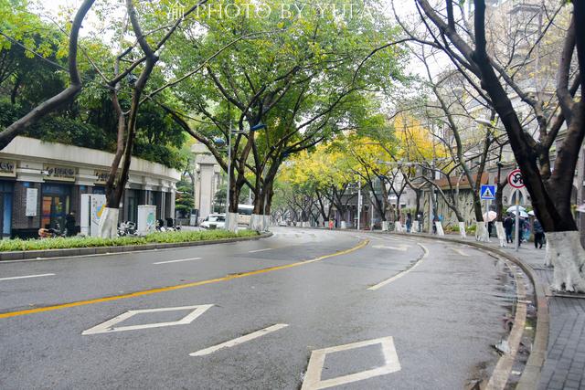 重庆洪崖洞旅游攻略大全（重庆这八个地方让你忘掉洪崖洞和穿楼轻轨）(28)