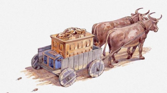 巴勒斯坦国家简介（国中之国巴勒斯坦依靠什么维持生存）(3)