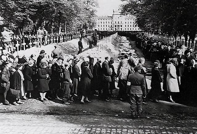 巴勒斯坦国家简介（国中之国巴勒斯坦依靠什么维持生存）(5)