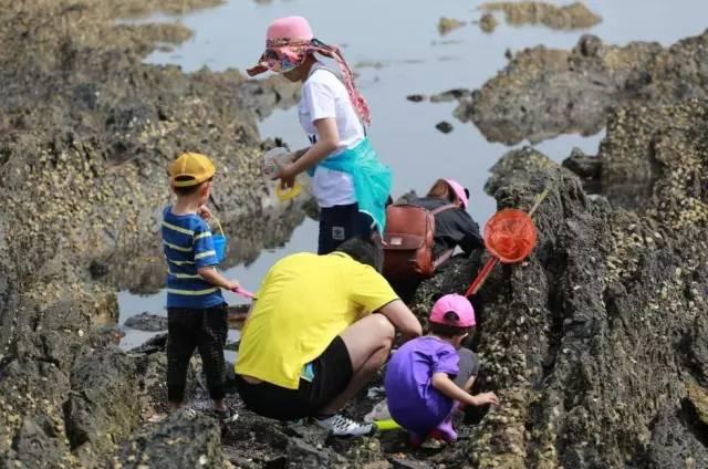 大连近郊游一日游攻略大全（国庆中秋超长假期将至）(26)