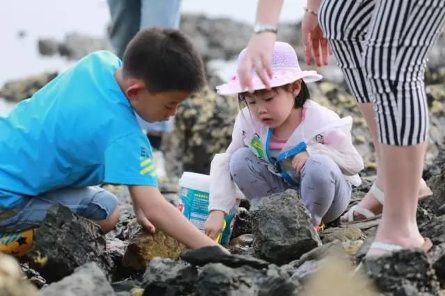 大连近郊游一日游攻略大全（国庆中秋超长假期将至）(27)