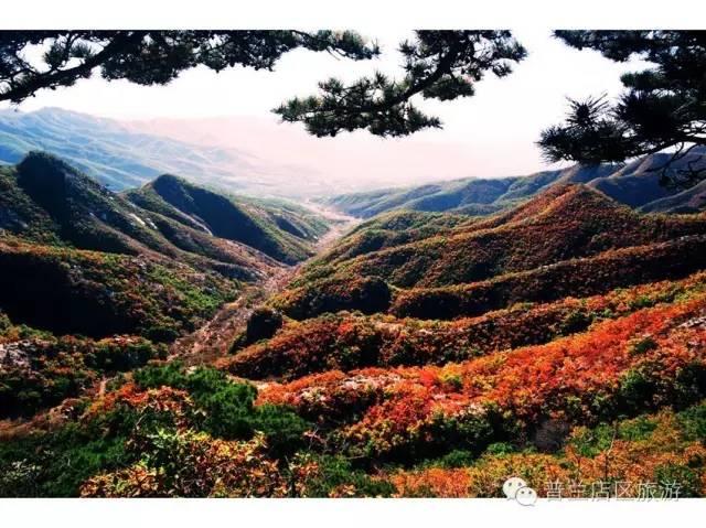 大连近郊游一日游攻略大全（国庆中秋超长假期将至）(8)