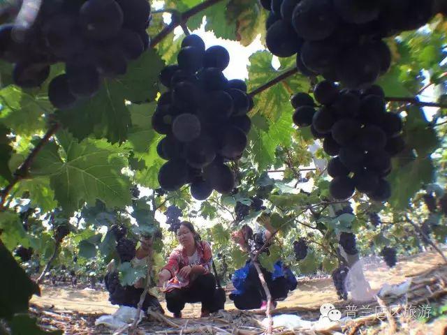 大连近郊游一日游攻略大全（国庆中秋超长假期将至）(14)