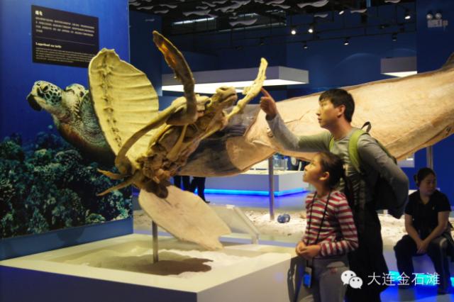 大连近郊游一日游攻略大全（国庆中秋超长假期将至）(31)