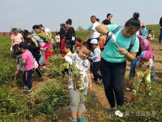 大连近郊游一日游攻略大全（国庆中秋超长假期将至）(17)