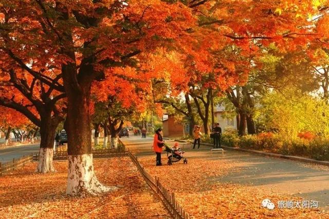 大连近郊游一日游攻略大全（国庆中秋超长假期将至）(49)